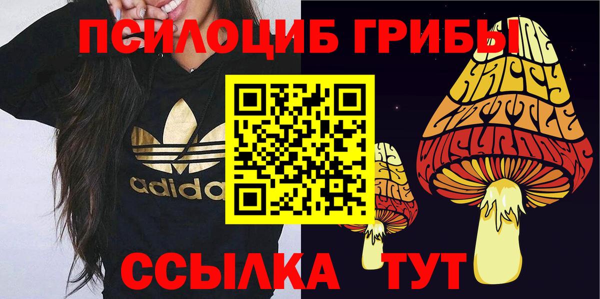 Галлюциногенные грибы мухоморы Лесосибирск