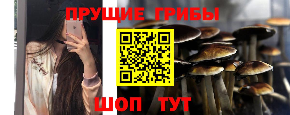 Лесосибирск  Псилоцибиновые грибы ЛСД  Вход с VPN  Псилоцибиновые грибы Psilocybine cubensis 